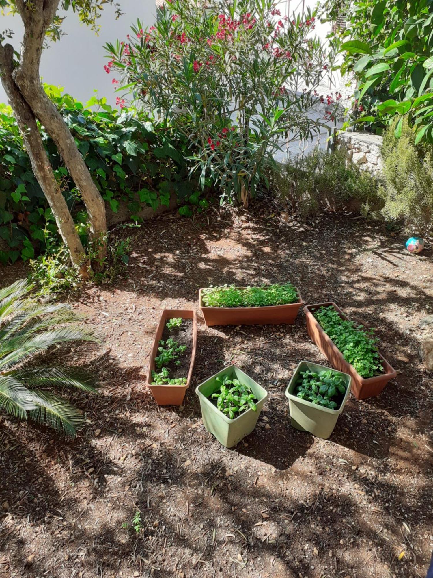 Apartman Gordana Trogir Eksteriør billede